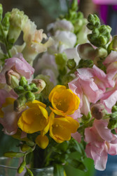 Similar image 22607984