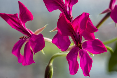 Similar image 22607985