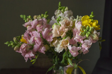 Similar image 22607986