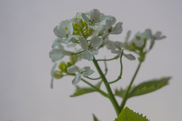 Similar image 22607987