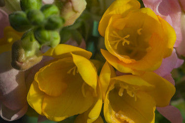 Similar image 22607988