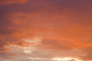 Similar image 22607989