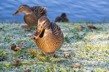 Similar image 22608186