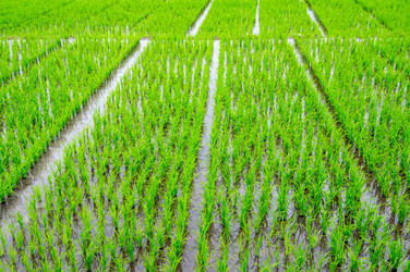 Similar image 22608194