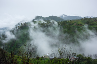 Similar image 22608208