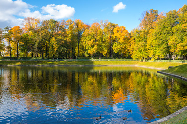 Similar image 22608150