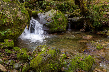 Similar image 22608155