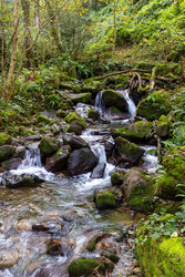 Similar image 22608160