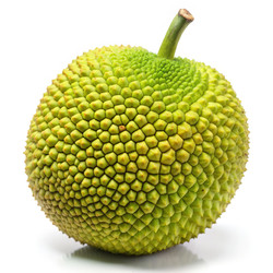 Similar image 22613619