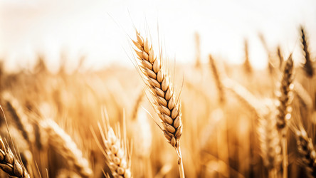 Similar image 22620583