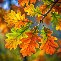 Similar image 22613319