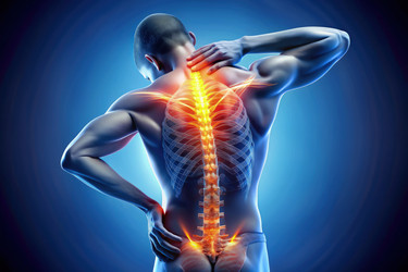 Similar image 22613636