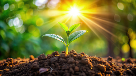 Similar image 22613725