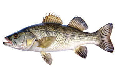 Similar image 22612454