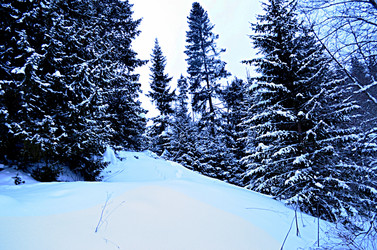 Similar image 22607906