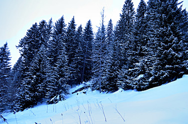 Similar image 22607907