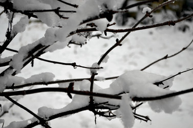 Similar image 22607908