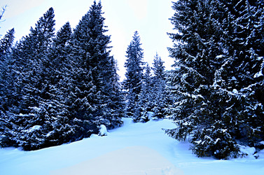 Similar image 22607909