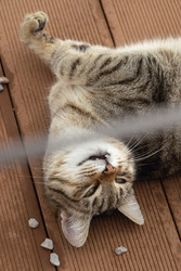 Similar image 22607998