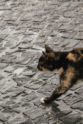 Similar image 22607332