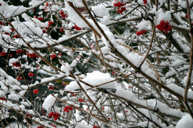 Similar image 22607891