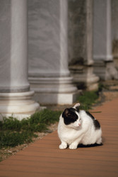 Similar image 22607334