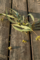 Similar image 22608002