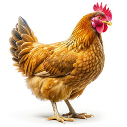 Similar image 22613352