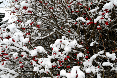 Similar image 22607926