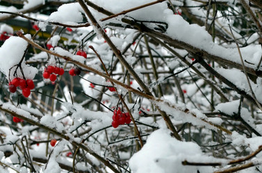 Similar image 22607927