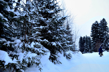 Similar image 22607928