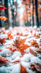 Similar image 22612391