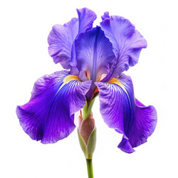 Similar image 22612467