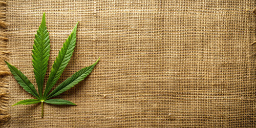 Similar image 22613592