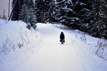 Similar image 22607895