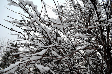 Similar image 22607899