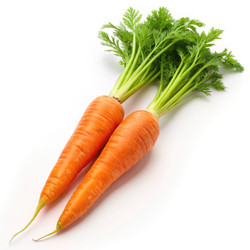 Similar image 22613275