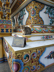 Similar image 22608469