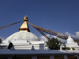 Similar image 22608520