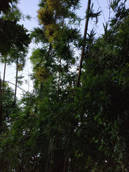 Similar image 22608532