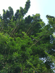 Similar image 22608547