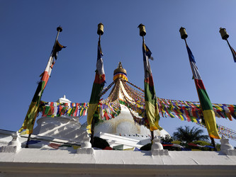 Similar image 22608548