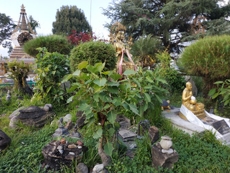 Similar image 22608552