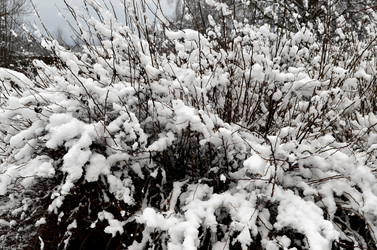 Similar image 22607900