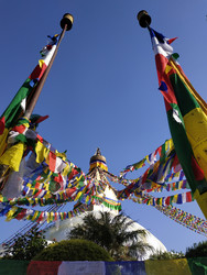 Similar image 22608473