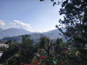 Similar image 22608504