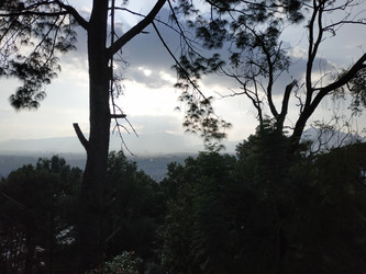 Similar image 22608506