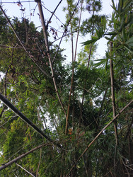 Similar image 22608507