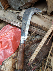 Similar image 22608596