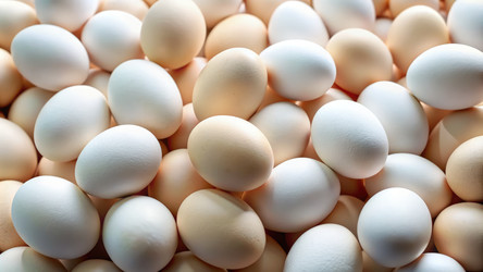 Similar image 22613158